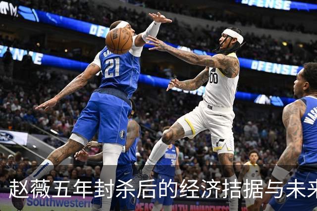 赵薇五年封杀后的经济拮据与未来困境