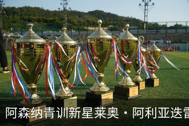阿森纳青训新星莱奥·阿利亚迭雷崭露头角，英法足协争抢